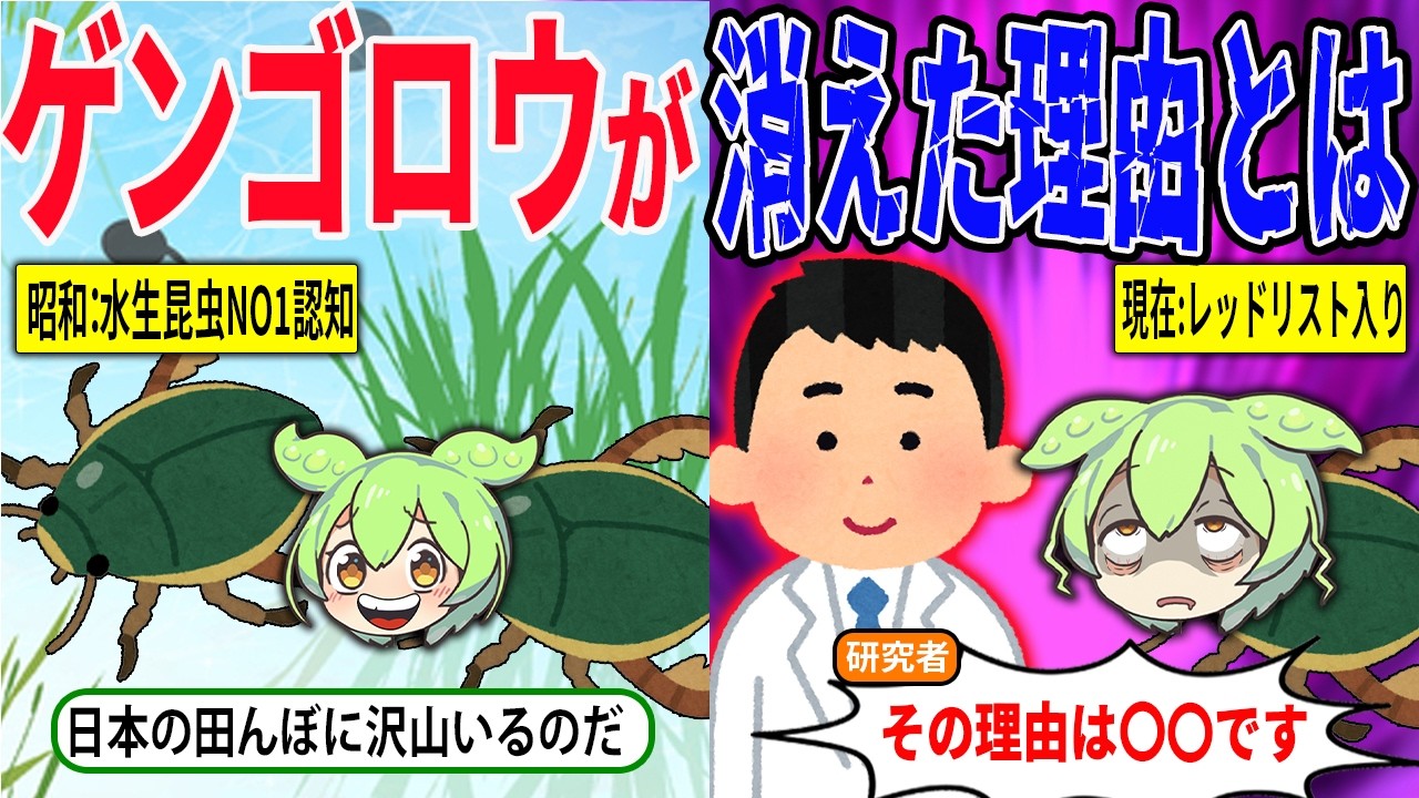 日本からゲンゴロウが姿を消している理由とは【ずんだもん＆ゆっくり解説】