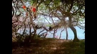 Робинзон и Пятница на необитаемом острове / Robinson y Viernes en la isla encantada