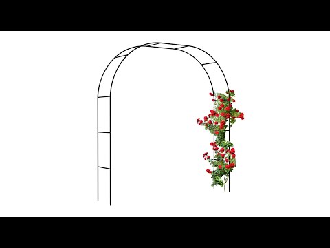 Rozenboog metaal 2 breedtes zwart - staal - 235 x 250 x 40 cm