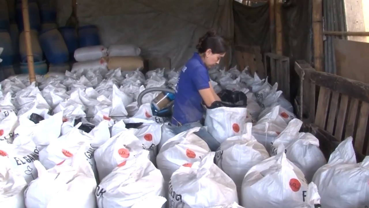 05  MAR   CAP 1   SUPLEMENTACION NUTRICIONAL PARA ANIMALES  A BASE DE RESIDUOS AGROINDUSTRIALES GANA