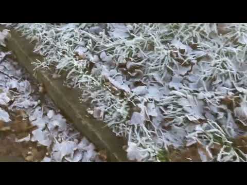 TRY NOT TO LAUGH! DIESER JUNGE BELEIDIGT POLIZIST 😱