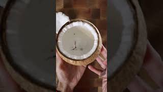 How To Make Shredded Coconut