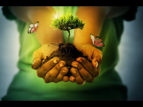 THE POWER OF GRATITUDE