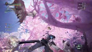 【女性実況】HR37でいくモンスターハンター アイスボーン / MHWI【ど☆へ☆た☆く☆そ】