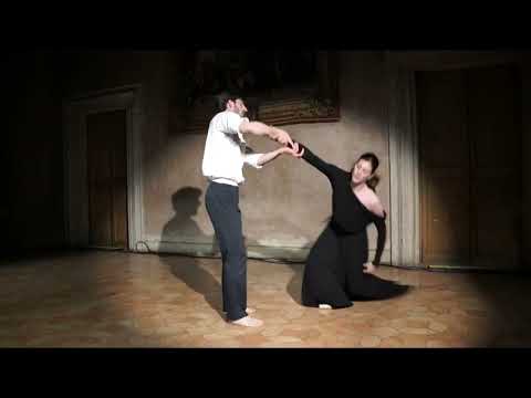 Janine Jansen Violin Concerto in D minor, Op 47 Jean Sibelius  -  Marie Agnès Gillot, Vincent Chaill
