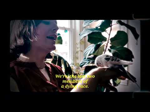 Ezra Furman - One Hand Free (Official Video)