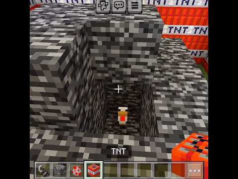 Baby Chicken Survives 100 TNT Explosion!! 😱 #minecraft