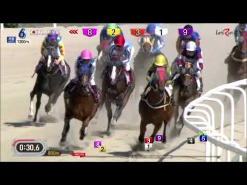 Tokyo City Keiba Trophy 2018 - Phillanike