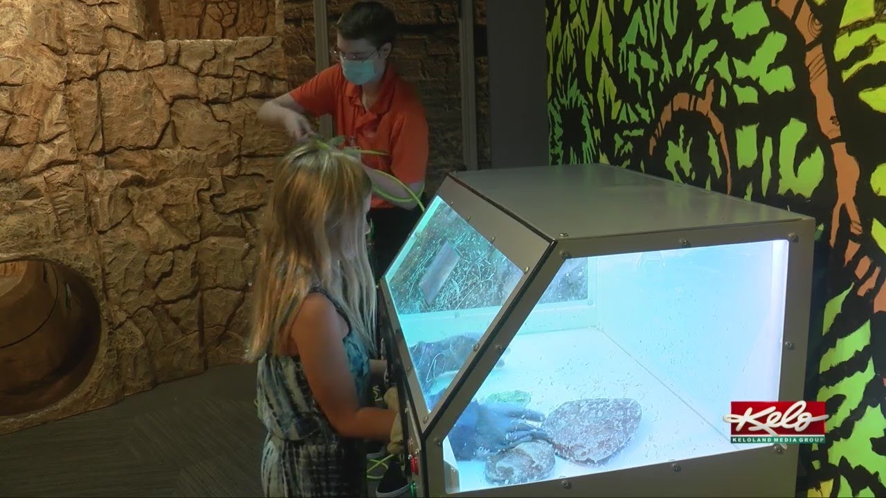 A closer look inside the Kirby Science Discovery Center