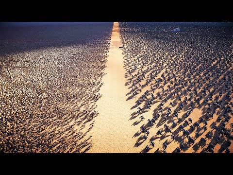 2000 Warrior Trolls Vs 1 Million EVERY MELEE SOLDIER Alliance - Ultimate Epic Battle Simulator 2