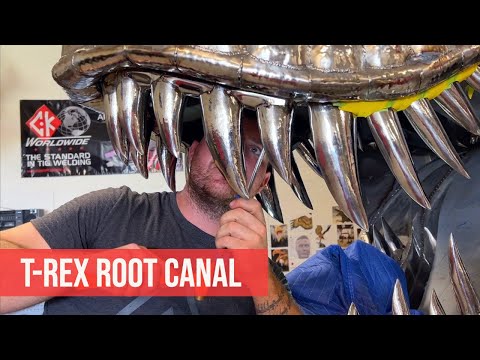 How To Give A T-Rex A Root Canal