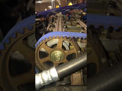 F20B/H22 timing belt walk? *fixed*