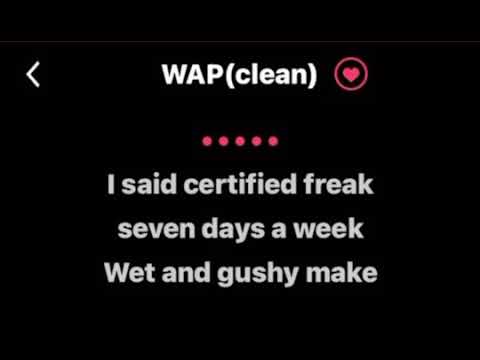 WAP (Clean lyrics)- by Cardi B ft. Megan thee...(Karaoke Version
