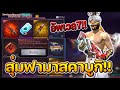 เพชร ฟีฟาย