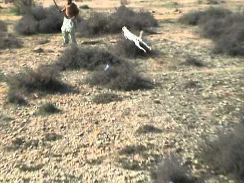 BILAWAL KHAN MANERWAL