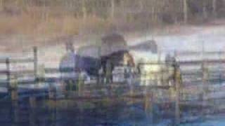 I dont wanna grow up