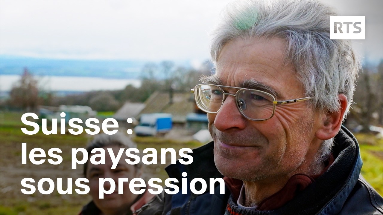 Colère des paysans : peut-on encore vivre de l’agriculture en Suisse ? | RTS