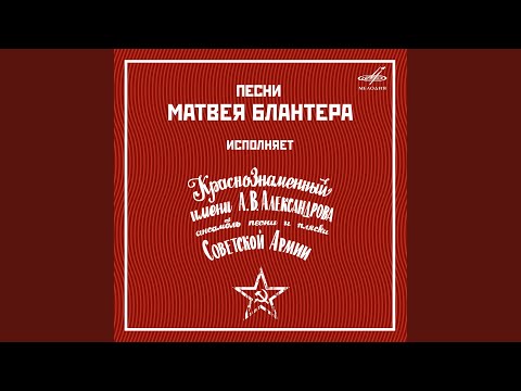 Черноглазая казачка