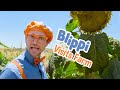 Blippi Visits Tanaka Farms Explore With BLIPPI Educational Videos For Toddlers