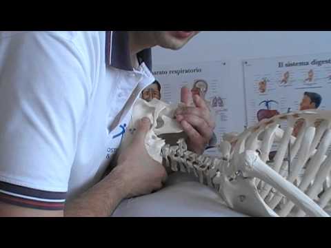 Dolorante e il dolore riprese in parte bassa della schiena Cliniche Kiev nel trattamento della colonna vertebrale