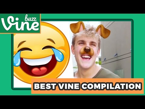 Best Vine Compilation June (Week 2 2016) - Funniest Vines