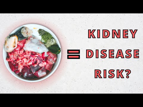 Can A Raw Diet Lead To Kidney Disease?