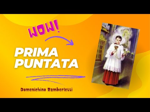 Presentazione di Domenichino Zamberletti