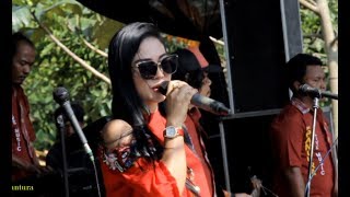 Download lagu Banyu Langit - ACHA KUMALA - new PANTURA 27 FEB 2018 mp3 Download lagu Banyu Langit - ACHA KUMALA - new PANTURA 27 FEB 2018 mp3