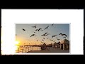Kahin To Dil Mein Yaadon Ki Whatsapp Status Without Watermark