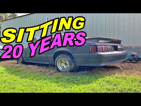 If your fox body Mustang has been sitting for a LONG time, here is what to do!