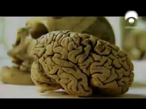 Memoria infinita. El síndrome Savant