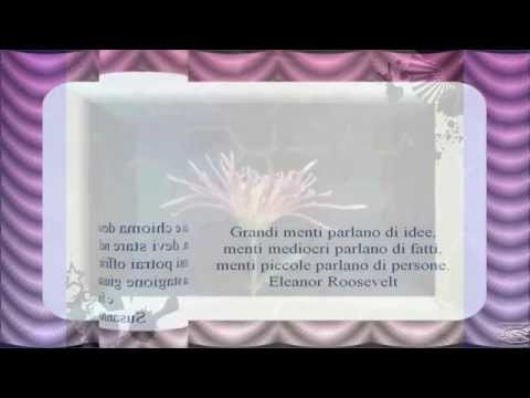 Bella pigmentazione su una faccia Da che apparire lentiggini