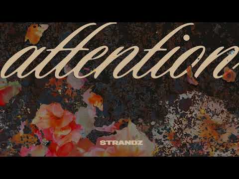 Strandz - Attention (Official Audio)