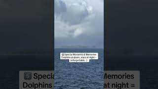 Thinking about upgrading to a balcony cabin? 🌊 Here are 5 reasons it’s worth every penny 👍🏼 From