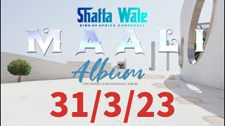 Shatta wale - M.A.A.L.I  (Dancehall Album Track list)