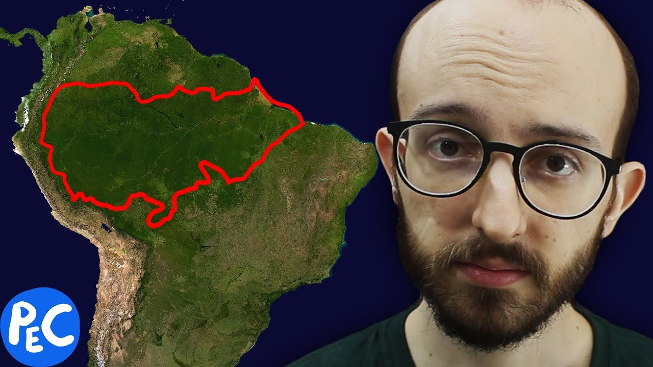 como a AMAZÔNIA está SALVANDO VOCÊ