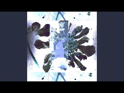 What The Heart Wants - Cordelia Gartside