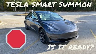 Tesla Smart Summon | Model 3 | Ready For Primetime?