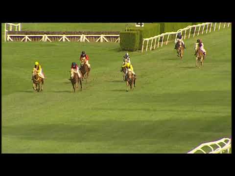 Herbstgalopprennen Oktoberfest: 1a corsa Haflinger/Haflinger Rennen 09.10.2022