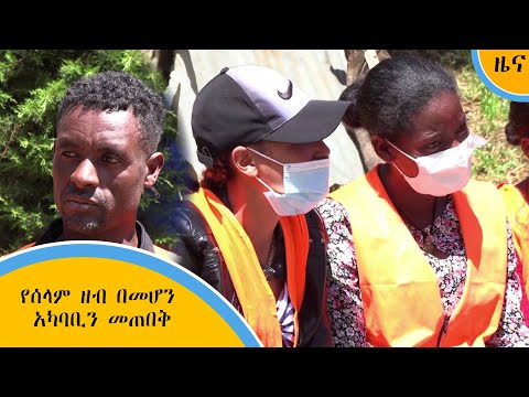 የሰላም ዘብ በመሆን አካባቢን መጠበቅ