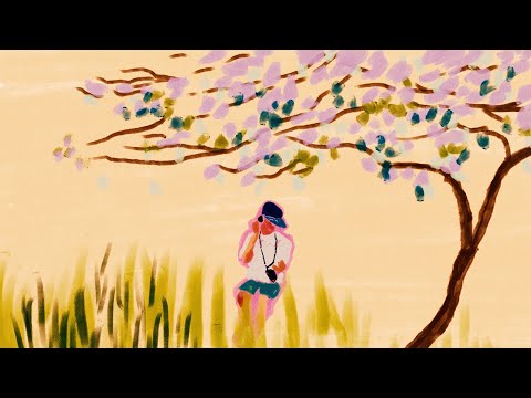 Video thumbnail for Family Tree