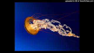 All men are hungry Karaoke