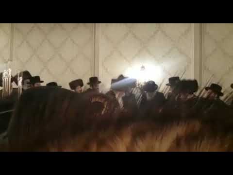 Sadigura Rebbe At Vasloi Wedding - Kislev 5782