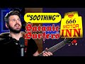 SWEDISH Punk?! Bass Teacher REACTS to Satanic Surfers - "SOOTHING"