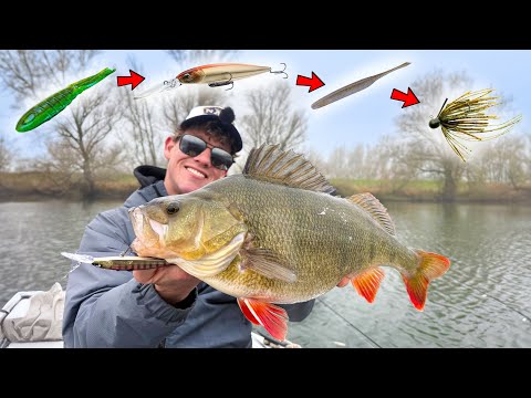 BAARSVISSEN MAAR BIJ ELKE BAARS WISSELEN WE VAN AASJE!