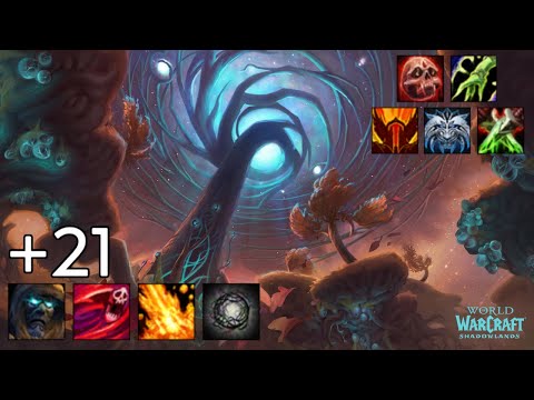 +21 Mists of Tirna Scithe - Assassination Rogue [Tyr/Bursting/Necrotic]