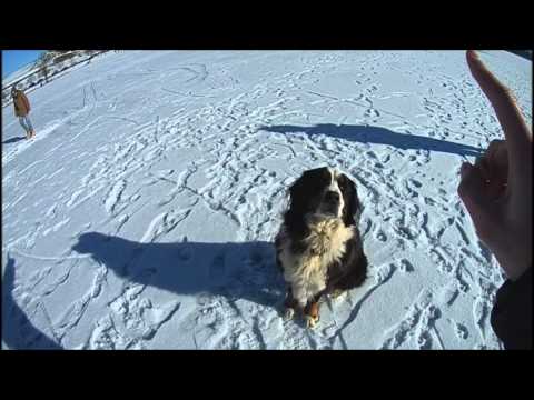 ACTIONPRO X7 - Testvideos