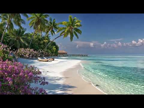 🌊 Relaxing Ocean Waves & Birdsong | Tropical Beach Ambience for Study, Meditation & Stress Relief 🐦