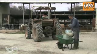 dottori-ingegneri-no-sogniamo-figli-agricoltori