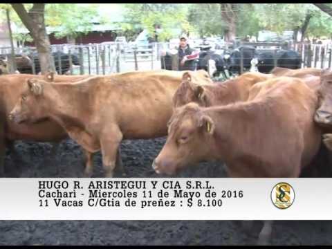 11-05-16 Venta de Vientres - Hugo R. Aristegui y Cia S.R.L. - Cacharì.